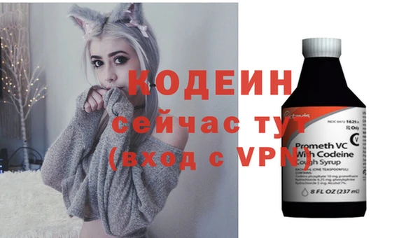 хмурый Киренск