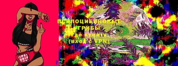 дживик Киреевск