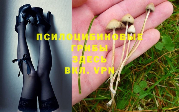 стаф Кинешма