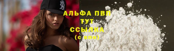 стаф Кинешма