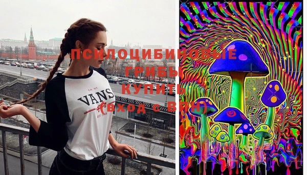 стаф Кинешма