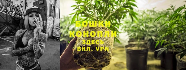 дживик Киреевск