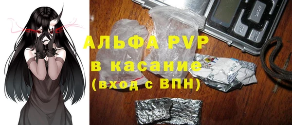 стаф Кинешма