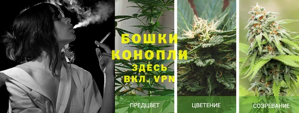 дживик Киреевск