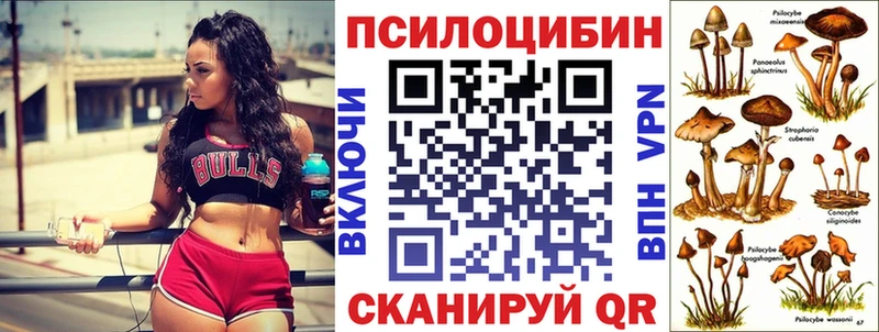 Псилоцибиновые грибы ЛСД  Камышин 